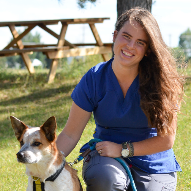 Kim Matthews </br>Relief Veterinary Assistant photo